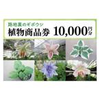 イベントやチケット等 53-02 路地裏のギボウシ