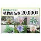 路地裏のギボウシ 商品券 20,000円分
