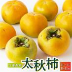 江藤農園 太秋柿 2Lから3L 8玉から11玉 約3kg
