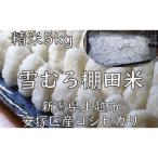 棚田米 コシヒカリ 雪中貯蔵 精白米 5kg