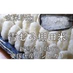 棚田米 コシヒカリ 雪中貯蔵 玄米 5kg