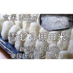 どぶろく荘 コシヒカリ 特別栽培米 棚田米 10kg