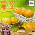 品種おまかせ 採れたて天使の甘柿 約 3kg