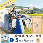 白米 コシヒカリ 令和8年 計 60キロ