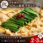 白のもつ鍋セット みそ味 2-3人前 もつ鍋