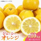 ジューシー オレンジ 約10kg