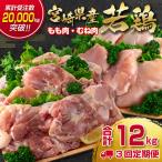 合計12kg