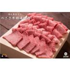 徳之島が世界に誇る最高級和牛“のざき牛”特選焼肉