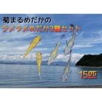 めだかセット 菊まるめだか ラメラメ 3種