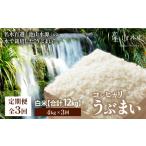 うぶまい コシヒカリ 白米 4kg〈阿蘇の名水
