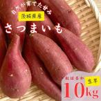 生さつまいも 紅はるか 10Kg_野菜 さつまいも