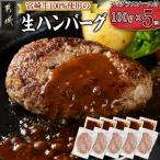 宮崎牛100%使用の生ハンバーグ 都城産