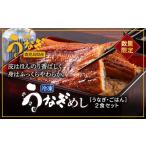 鹿児島県産うなぎ使用 冷凍うなぎめし 2食セット