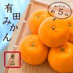 鹿蔵の有田 みかん プレミアム 完熟 5kg+250g