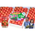 水田さんのフルーツトマト2kg定期便