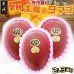 2L×3玉