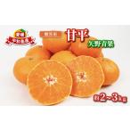 ショッピング甘平 ふるさと納税 贈答用 甘平 2 ~ 3kg 矢野青果 先行予約 みかん 化粧箱入 かんぺいかんぺい B012-171010 愛媛県宇和島市