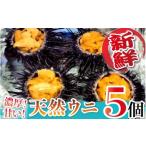 fu.... налог день . набережная ... холм производство натуральный морской еж (5 шт ) N014-YZB529 Miyazaki префектура . холм город 