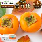 原茂之巨峰園 特撰 富有柿 大玉 3L