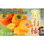 渡辺農園 富有柿 9玉前後