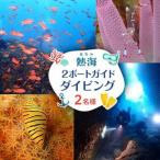 熱海2ボートガイドダイビング 2名様