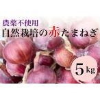 赤たまねぎ 5kg