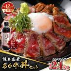 牛肉 全12回定期便 あか牛 あか牛丼セット