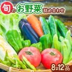 阿波の国 旬のお野菜詰め合わせセット8‐12品