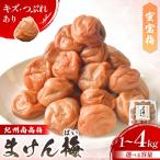 まけん梅 R はちみつ漬 蜜宝梅 2kg