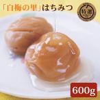 特選 紀州南高梅 白梅の里 はちみつ 600g