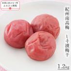 紀州南高梅 しそ漬梅干 yplu012B