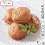 紀州南高梅 はちみつ梅 yplu013B