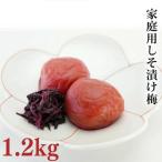 みなべの梅 しそ漬け 1.2kg