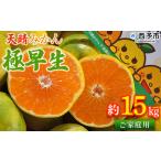 柑橘 果物 フルーツ オレンジ 株式会社笑丸
