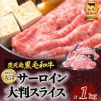A5 等級 黒毛和牛 サーロイン 大判 スライス 500g