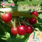 こだわりのさくらんぼ 紅さやか Lサイズ以上