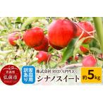 ふるさと納税 りんご【訳あり】家庭用 シナノスイート 約5kg 青森県弘前市