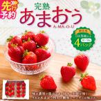 完熟あまおう 用4パック いちご 苺 イチゴ
