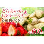 日光産 とちあいか&ミルキーベリー 約300g×2パック