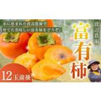 渡辺農園 富有柿 12玉前後