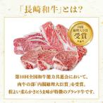 長崎和牛 食べ比べ ヒレステーキ ヒレ
