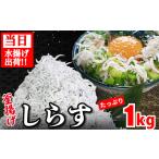 しらす 釜揚げ 1kg