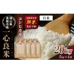 特別栽培米 令和8年産 減農薬コシヒカリ20kg