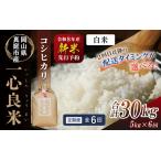 白米 コシヒカリ 産米 定期便 精米 ブランド米