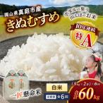 米 産精米 令和8年産きぬむすめ無洗米10kg 5kg×2袋