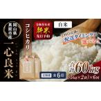 米 精米 令和8年産特別栽培米 一心良米 白米10kg 5kg×2袋