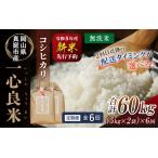 米 産精米 令和8年産コシヒカリ 一心良米