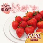 いちごの新時代 とちあいか 280g×4P