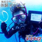 ぽっこり小島ボートダイブプラン 1名様分