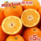 訳あり伊予柑5kg杉本屋 果物 B010-143006